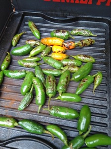 Harvested and roasted for green tomatillo salsa. 