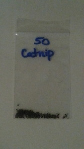 Catnip herb 50 seeds