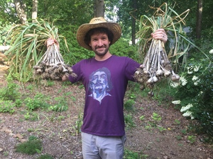 Garlic - "California Early" 1/2 lb