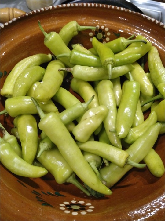 Harvested lots of peppers.