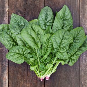 Spinach Bloomsdale Long Standing Organic Seeds