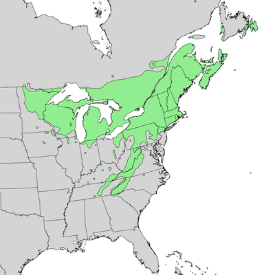 Elbert L. Little, Jr., of the U.S. Department of Agriculture, Forest Service, and others