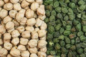 Chick Pea
