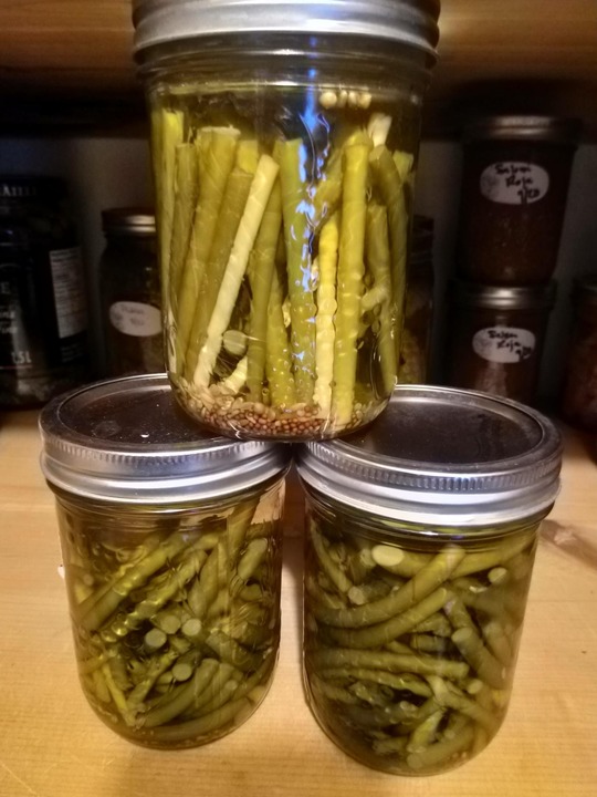 Pickled 1/2 of the scapes, made 12 500ml jars of pickles. 