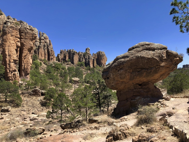 East Nevada 8000' Elev. - Clownfish's Garden - Wish List