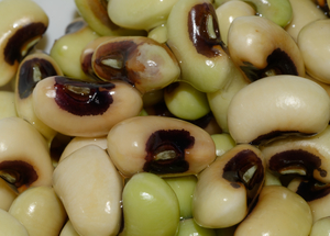 Black-Eyed Pea