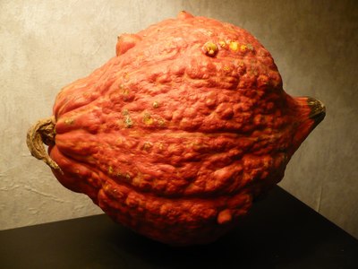 Golden hubbard squash