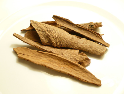 Cinnamomum loureiroi