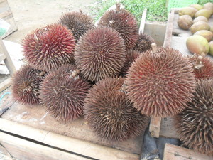 Durian Marangang