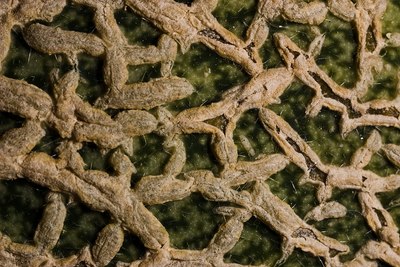 Close-up of cantaloupe skin