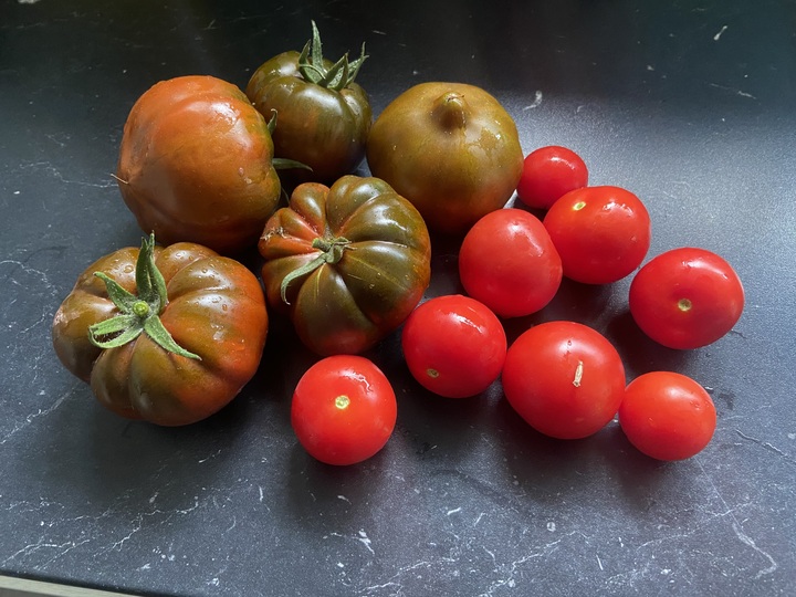 First harvest from the balcony 