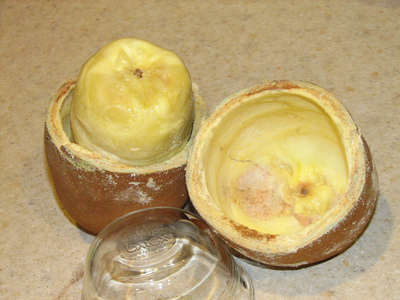 Theobroma grandiflorum