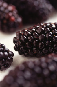 Blackberry