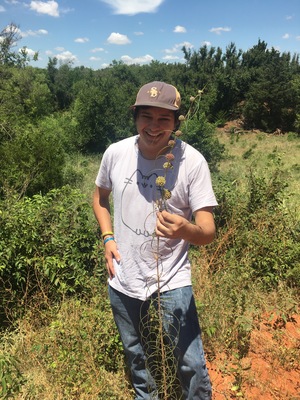Engelmann's milkweed in Oklahoma with myself for scale (I am 5'10")