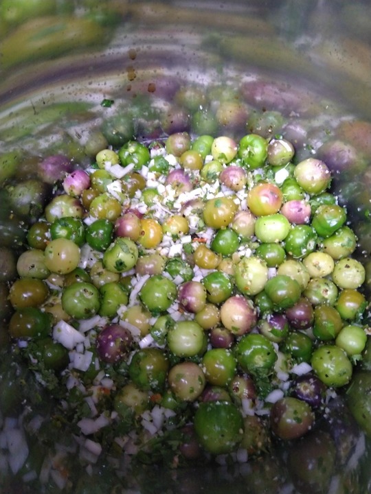 Harvested and preppared tomatillo salsa using a bunch of ingredientes from the garden: 

- tomatillos
- jalapeno
- garlic

Had to buy onions, cilantro, lime juice, and vinegar.