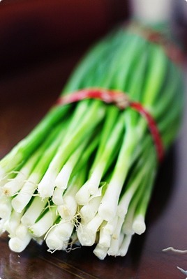 Bunch of cut scallions