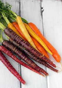 Rainbow Carrot Organic Heirloom Seeds