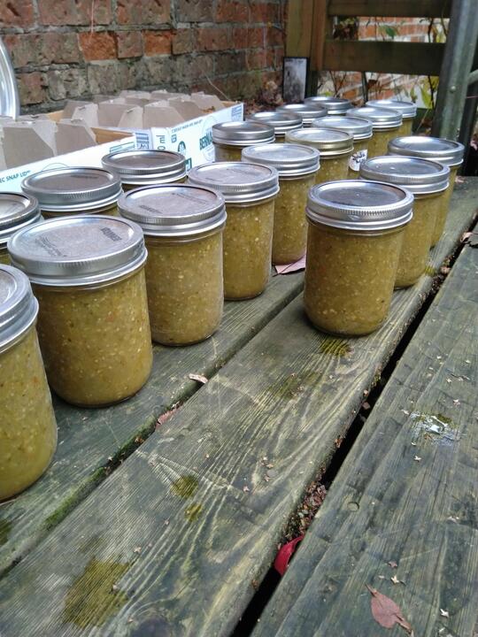 Yearly salsa verde harvest + transform. Everything but the limes and onions are from the garden.