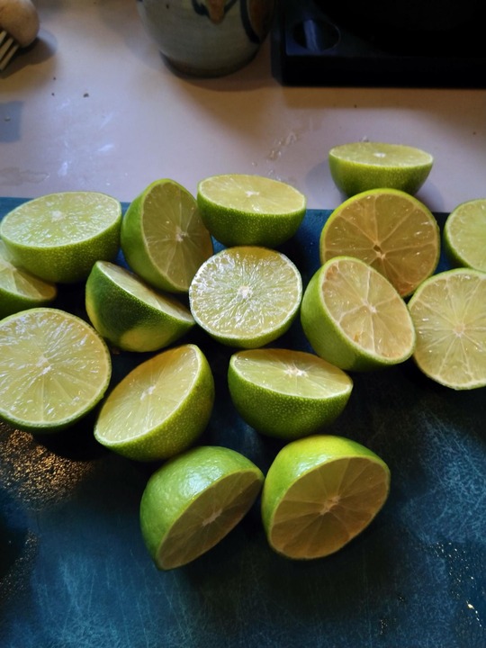 Yearly salsa verde harvest + transform. Everything but the limes and onions are from the garden.