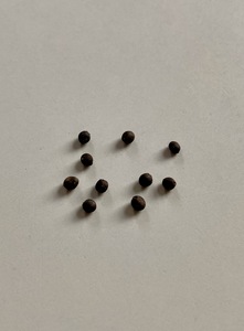 Sage seeds / Salbei Samen