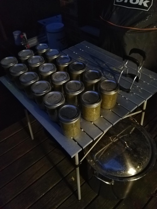 Harvested and preppared tomatillo salsa using a bunch of ingredientes from the garden: 

- tomatillos
- jalapeno
- garlic

Had to buy onions, cilantro, lime juice, and vinegar.