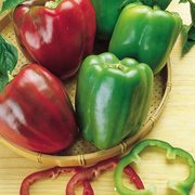 Organic Red and Green Pepper Seeds