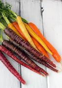 Rainbow Carrot Organic Heirloom Seeds