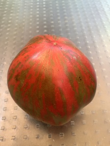 Moonlight Mile Tomato Seeds