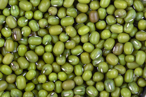 Mung Bean