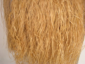 Wine Raffia Palm Wine Palm