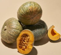 Kabocha Squash